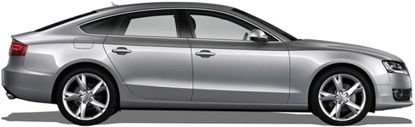 Audi A5 Sportback 2.0 TFSI (12 - 13) 