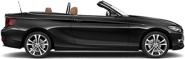 BMW 218i Cabrio (17 - 18) 