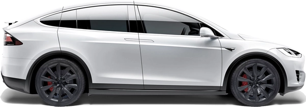 Tesla Model X 90D (16 - 17) 