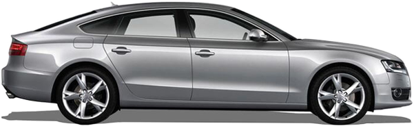 Audi A5 Sportback 2.0 TFSI (09 - 11) 