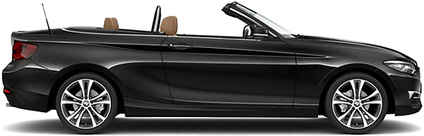 BMW 220i Cabrio Steptronic (17 - 18) 